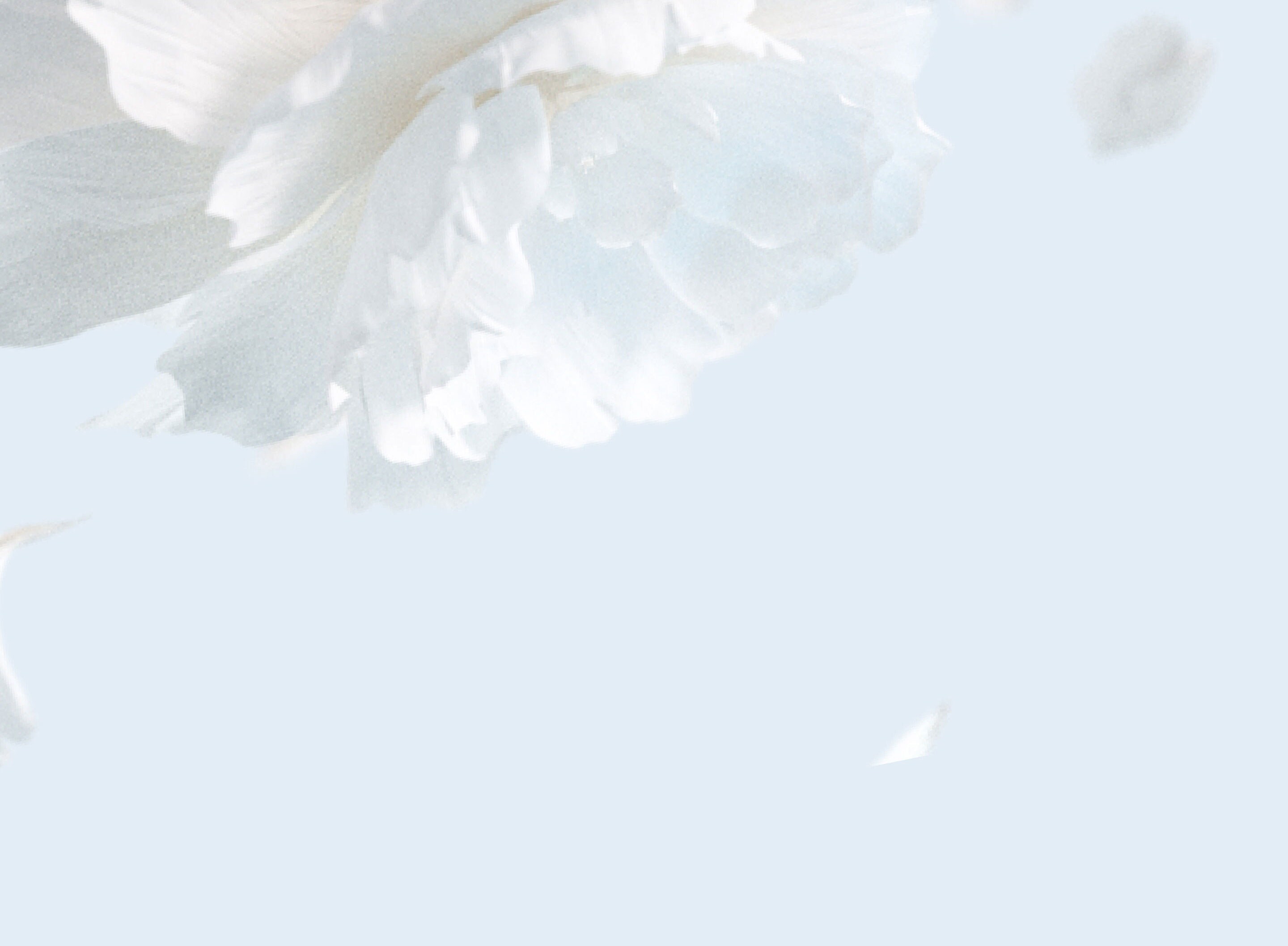 Background image containing bubbles over a soft pink background